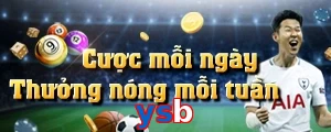 ysb